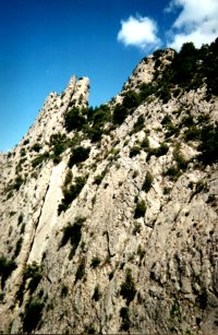 >>Un ponte tibetano in Francia