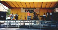 Il concerto dell'Agro e di Luca (1)