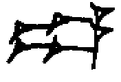 NAB