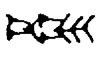 ZIK