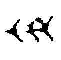 ZIB