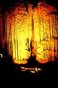 L'organo